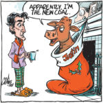 Cattle production victim of widespread story telling