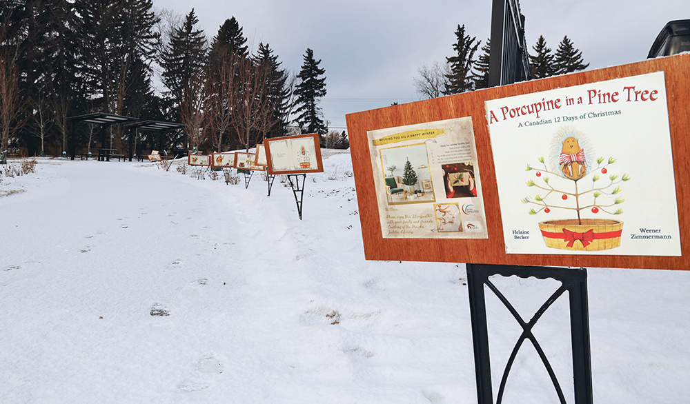 A Porcupine in a Pine Tree is the second Story Walk created by programmers at the Ponoka Jubilee Library. For Christmas, the librarians cut up a book celebrating Canadiana and glued the pages on boards and created a Christmas story walk. | MARY MACARTHUR PHOTO