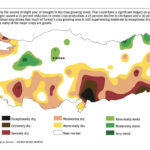 Turkey significantly expands lentil production