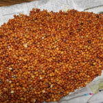 IGrain India Pvt is forecasting 3.1 million tonnes of Indian pigeon pea production, down slightly from last year. | file photo