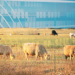Tipping the scales with technology