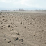 Soil erodes north of Lumsden, Sask., in another wind event during the spring of 2020. | Mike Raine photo