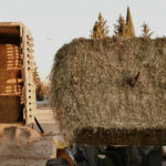 To date, 31 transport trailer loads of hay have been donated by Ontario farmers to MDS Hay West. Twenty-six have been shipped; 24 more farmers in Saskatchewan are awaiting hay. | Screncap via mds.org