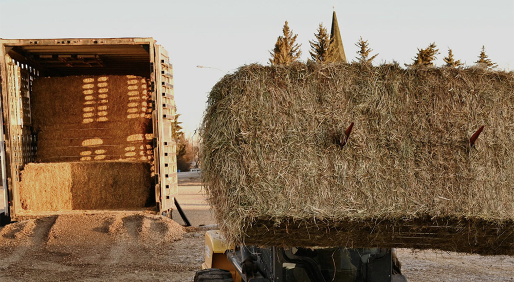 To date, 31 transport trailer loads of hay have been donated by Ontario farmers to MDS Hay West. Twenty-six have been shipped; 24 more farmers in Saskatchewan are awaiting hay. | Screncap via mds.org