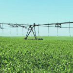 Members of the Saskatchewan Irrigation Projects Association and the Irrigation Crop Diversification Corp. still don’t have a plan for how to amalgamate the two groups. | File photo