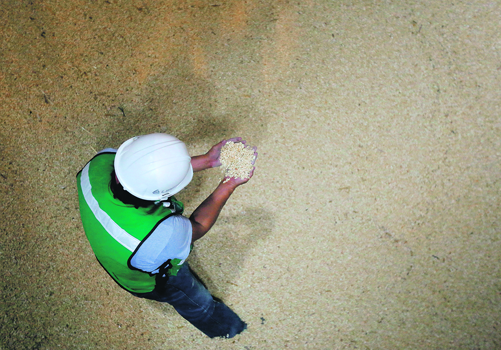 Thirteen percent of the grain Canada sells to Mexico is now shipped by rail. The rest moves through Canadian ports, over the ocean and then back into Mexico by port. | Reuters/Fernando Carranza photo