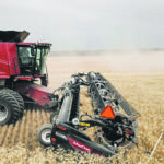 MacDon’s FD2 FlexDraper has improvements designed to make it more effective at straight cutting canola. It has a deeper draperdeck, faster cutting speed, ground-following wheels that keep consistent cutting heights up to 18 inches, vertical side knives and the ability to set the reel further back on the header to reduce crop shatter losses. | MacDon photo