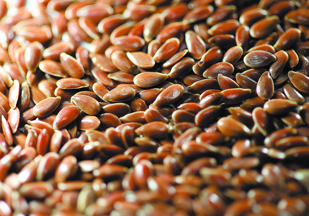 Prices for organic flax remain strong with product selling for $70 per bushel, but overall, the organic market has weakened. | File photo 