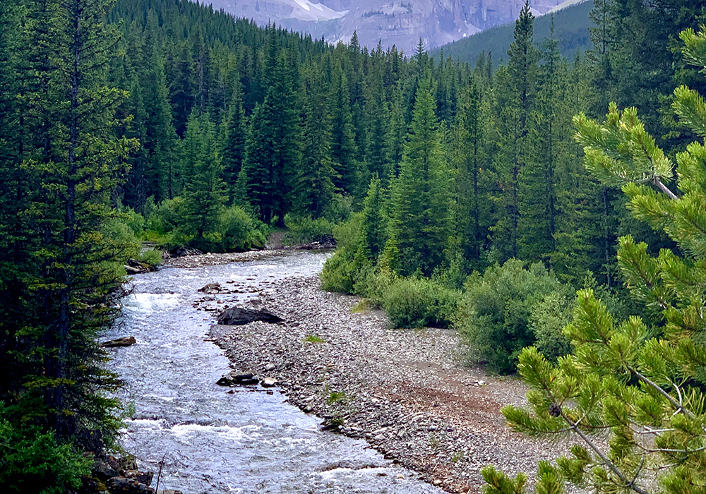 The Eastern Slopes contains the watershed for the Saskatchewan River system, which is relied on by everyone from farmers to communities across much of the Prairie provinces. | Laura Laing photo
