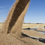 Chuck Penner thinks a repeat of 2007-08 spring wheat futures values is highly improbable. | File photo