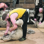 Alex Baker, left, Dwight Galenzoski and Shawn Fajnor put their backs into their work. | Mike Sturk photo