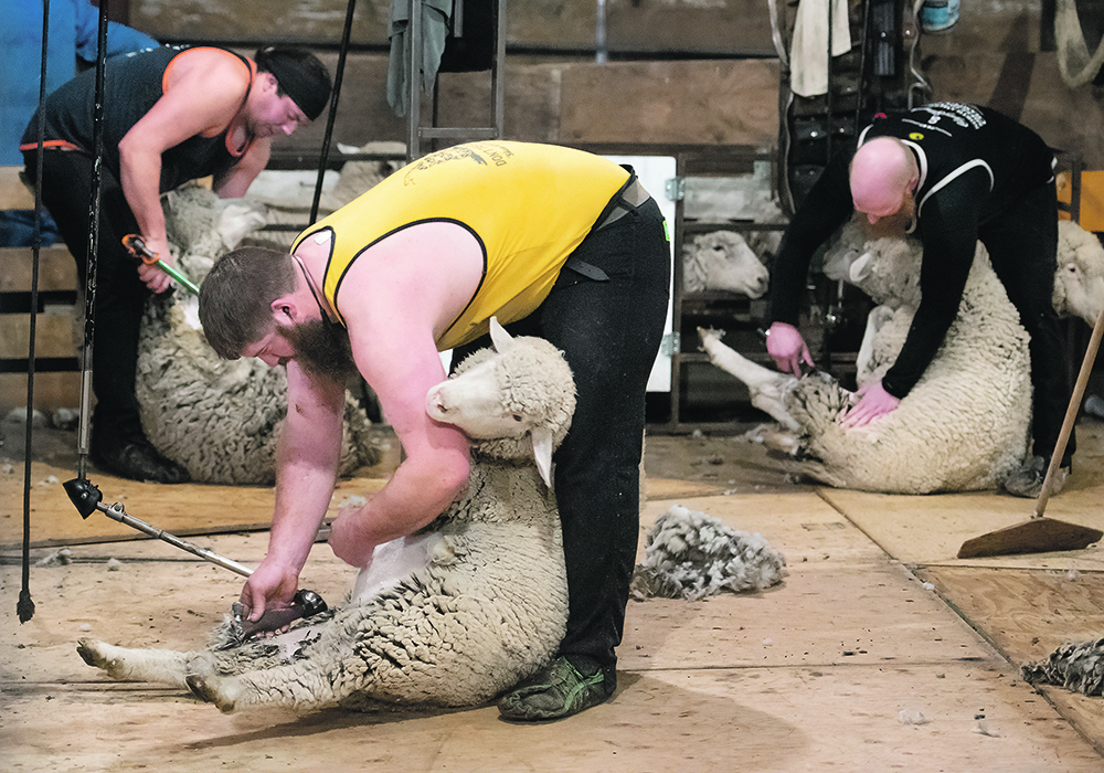Alex Baker, left, Dwight Galenzoski and Shawn Fajnor put their backs into their work. | Mike Sturk photo