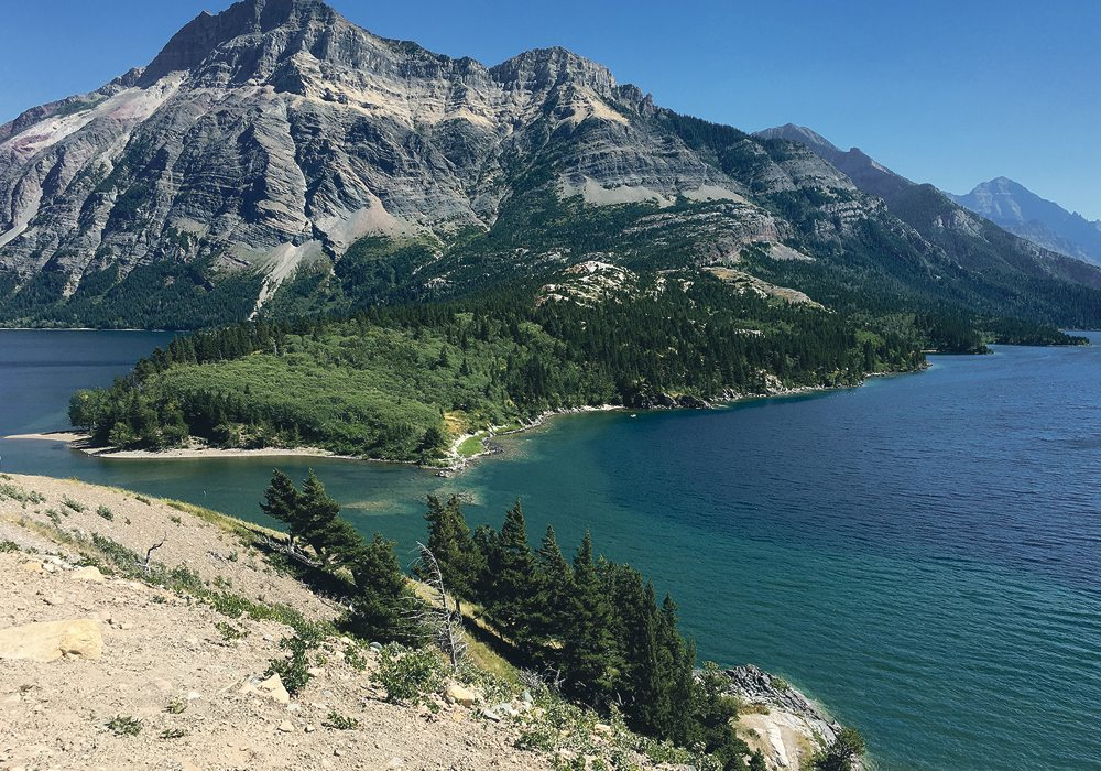 The money is designed to help increase surveillance and to combat the spread of invasive species in Waterton Lakes, Banff, Jasper, Kootenay, and Yoho national parks. | File photo