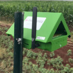 To collect the insect data, FarmSense built a sensor called FlightSensor that has been designed to help farmers identify harmful insects in their fields in real time by classifying insects by the sound they make. | University of California, Riverside photo