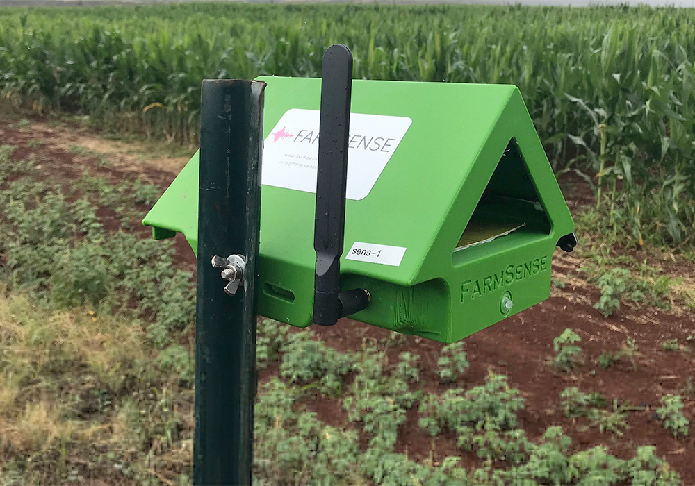 To collect the insect data, FarmSense built a sensor called FlightSensor that has been designed to help farmers identify harmful insects in their fields in real time by classifying insects by the sound they make. | University of California, Riverside photo