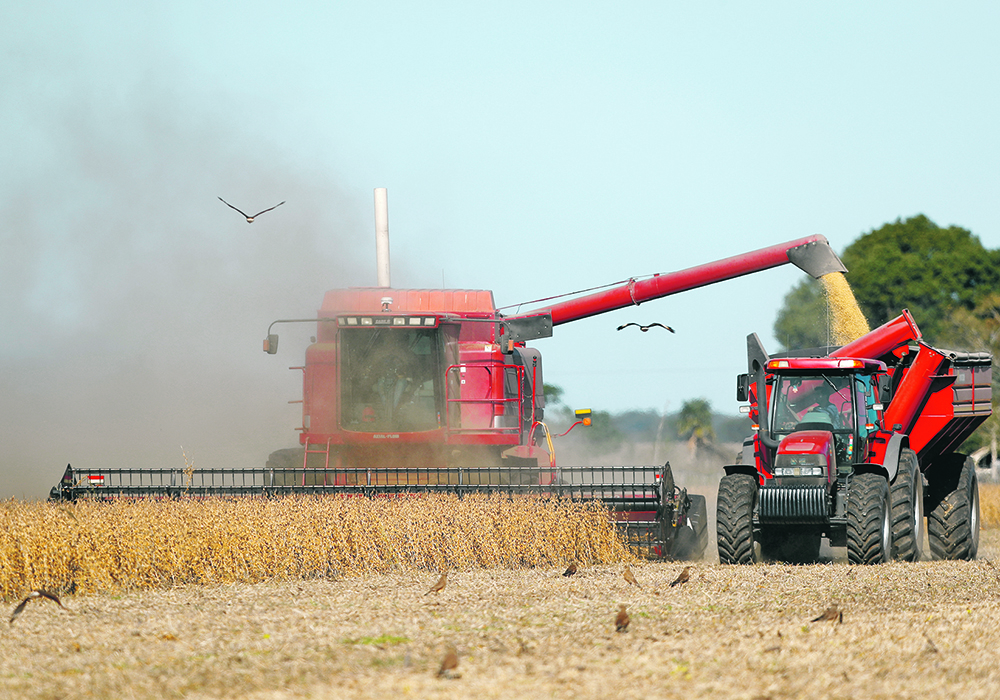 Conditions are slightly better in the important soybean-producing region from San Luis and southern Cordoba into central Buenos Aires, but even those areas are “on the cliff." | Reuters/Agustin Marcarian photo