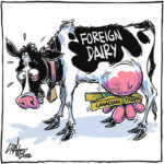 CUSMA dairy decision shows two winners?