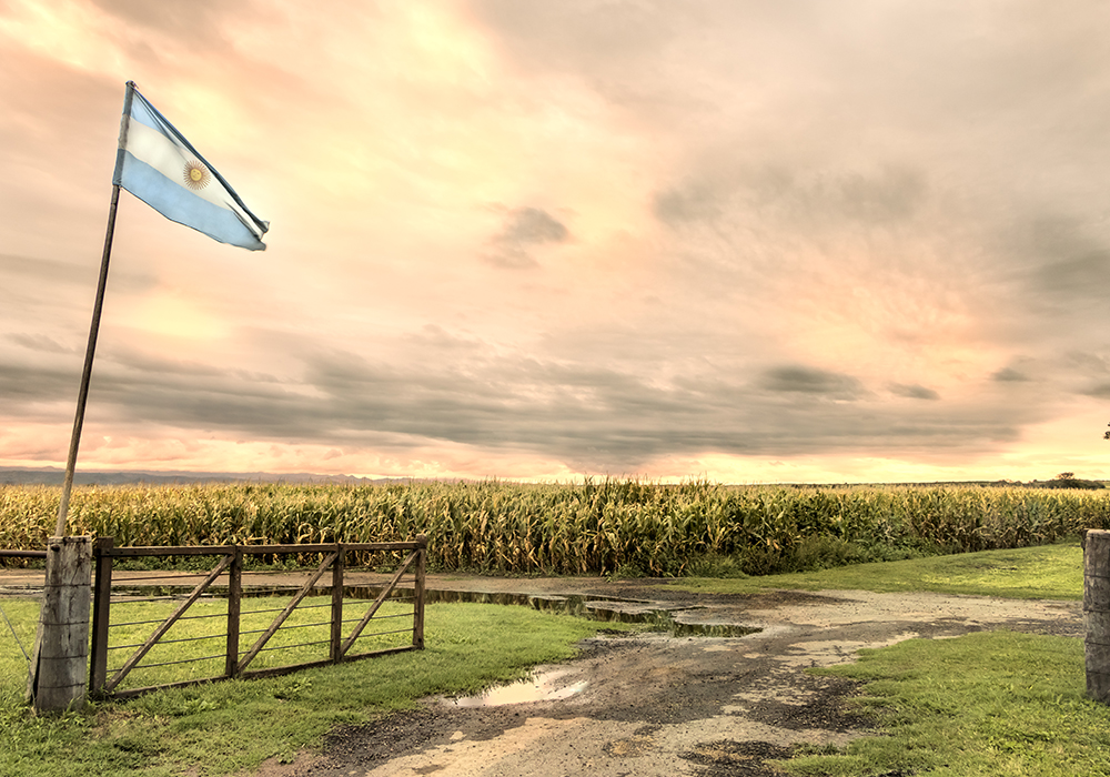 German Heinzenknecht, meteorologist at the Applied Climatology Consultancy (CCA), said the weekend showers came as expected, reaching 15-60 millimeters in Argentina's main farm belt on Saturday and Sunday. | Getty Images