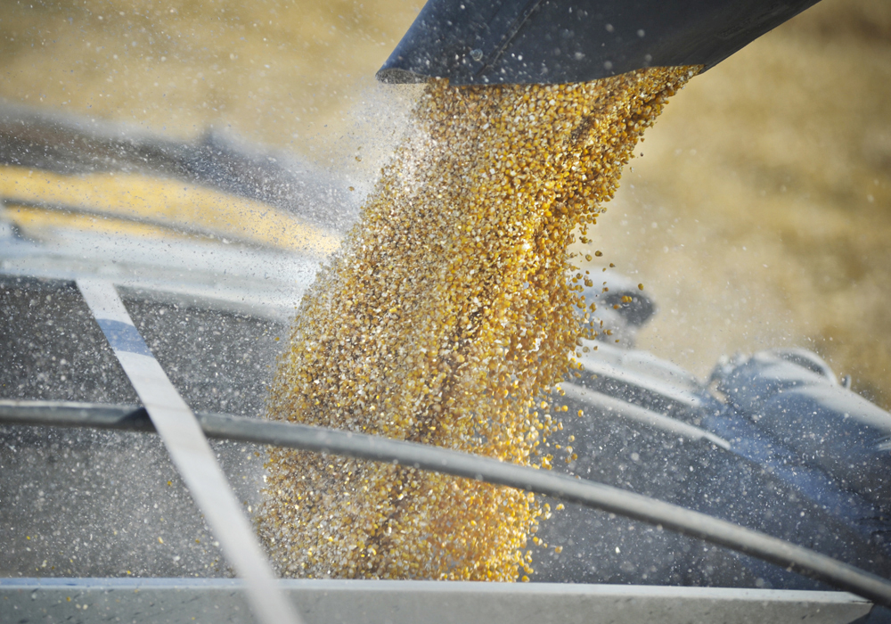 Striving for the most efficient nitrogen use and seeding rates is seen as wiser than pushing for ‘that last bushel or two.' | File photo