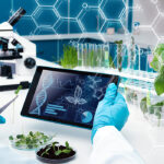 Gene editing - or altering the genes of a plant to change or improve its performance - is viewed by some scientists as less risky than genetically-modifying them, which involves transferring a foreign gene. | Getty Images