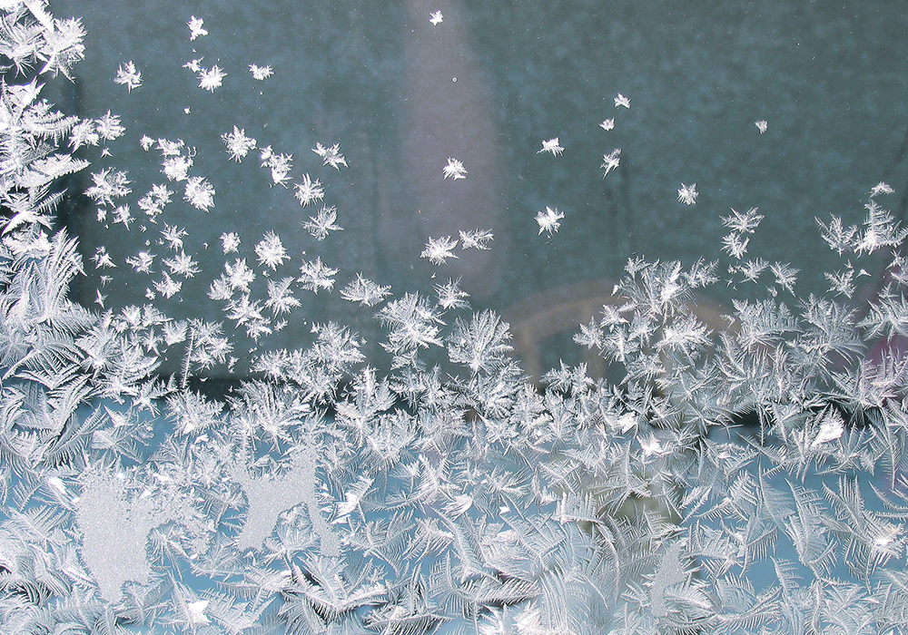 “In the dim light of the silver moon shining through the frosted windowpane, I could see Mom huddled in her chair, her scarf wound several times around her head.” | Alma Barkman photo