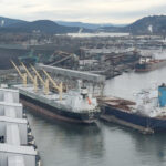 Among other things, the Canada Grain Act authorizes the Canadian Grain Commission to enforce regulations and provide services that touch on almost every aspect of the grain trade, from establishing grain-grading procedures, to resolving grading disputes and inspecting outbound grain exports. | File photo