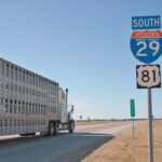With the joint Canada-United States vaccine requirement now imposed on cross-border journeys, a sudden shortage in truckers is leaving small shippers like farmers facing delays, cancellations and uncertainty about how to move their animals. | File photo