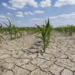 Long-term issues such as labour and climate change remain a focus for provincial and national players. | Getty Images