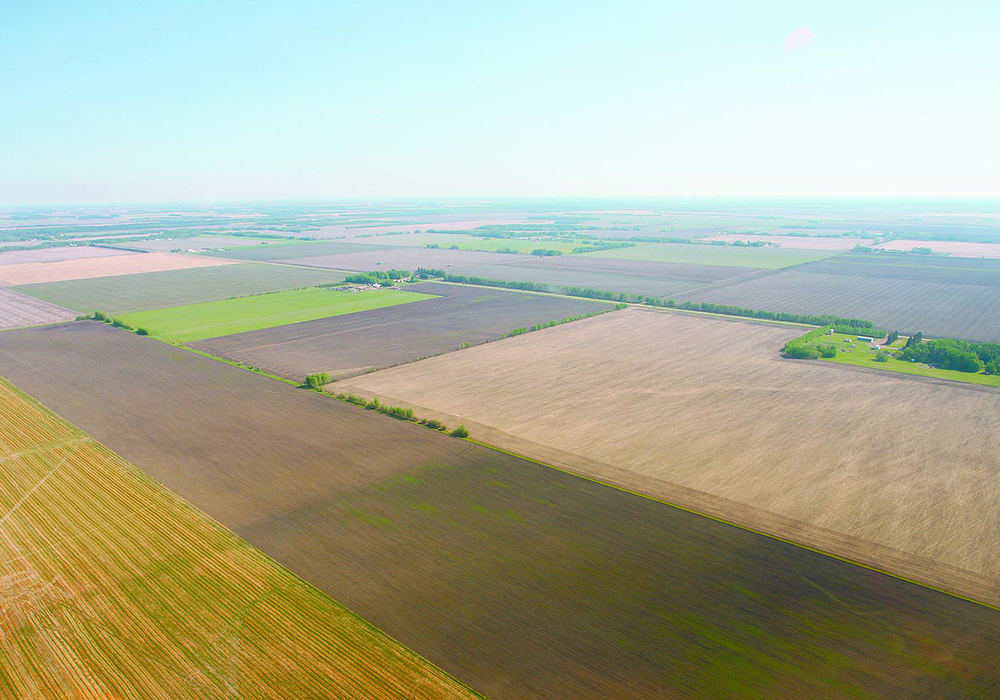 Most investors aren’t hedge funds or other pools of capital, but local non-farmers who see farmland as a good nearby investment. | File photo