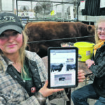Arika Kathol and her mother, Susan, of Drayton Valley, Alta., brought two bulls to the recent Canadian Bull Congress in Camrose, Alta., to display and meet buyers. Since the COVID-19 pandemic, cattle producers have been forced to begin marketing online. The Kathols’ bull sale will be a hybrid of online and in-person. Arika developed a website and learned how to video animals for the sale and the website. | Mary MacArthur photo