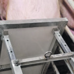 The Maple Leaf Agri-Farms Backspacer Device recently received the F.X. Aherne Prize for Innovative Pork Production. | Photo supplied by The Banff Pork Seminar
