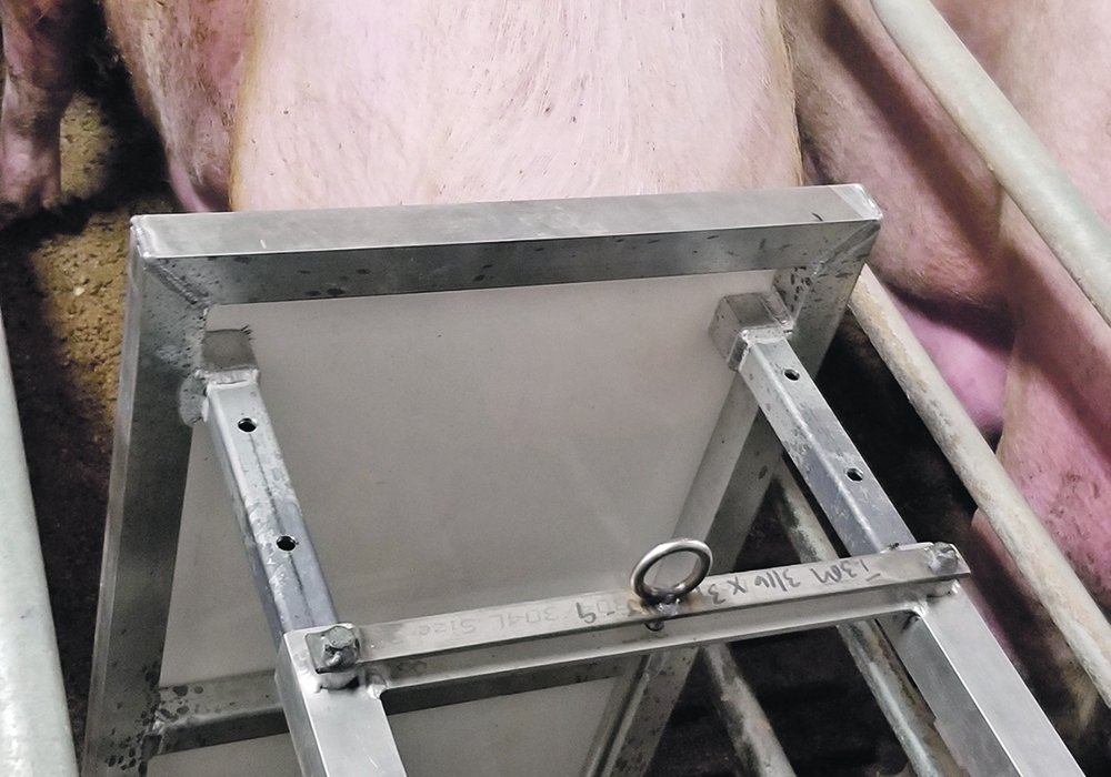 The Maple Leaf Agri-Farms Backspacer Device recently received the F.X. Aherne Prize for Innovative Pork Production. | Photo supplied by The Banff Pork Seminar