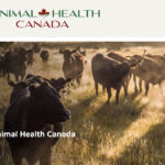 The new name is the first step in realizing a new vision and mission, as well as a new governance structure for the not-for-profit organization. | Screencap via animalhealthcanada.ca