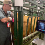 Researchers have found a method to significantly improve IVP in cattle by removing irregular embryos from the gene pool, which improves live births per embryo transfer. | File photo