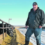 T Bar Cattle Co. owner Brad Betcker stands next to one of his pens at his feedlot in Alberta’s Cypress County. Feed supplies are much less certain than normal this winter for many prairie operations because of last year’s drought and transportation bottlenecks from the United States. | Alex McCuaig photo
