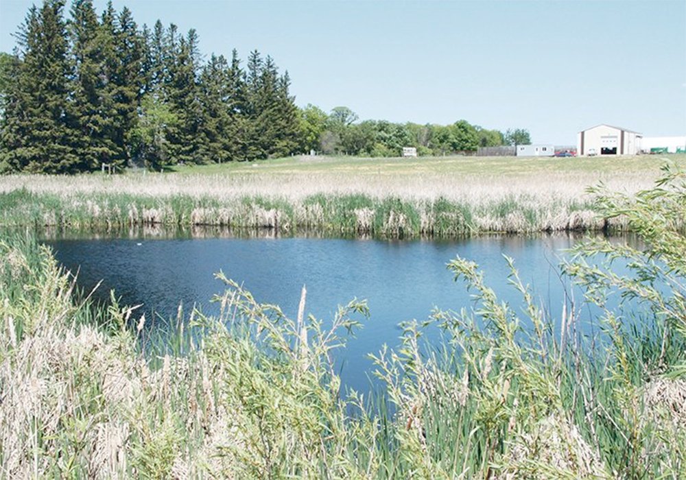 Nutrien, General Mills, Simplot and BASF are part of a pilot project, announced early February. The idea is to improve water quality and quantity on the eastern Prairies, by altering land, water and nutrient management on Manitoba farms. | File photo