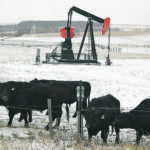 A spokesperson for the Alberta Liabilities Disclosure Project called the Parliamentary Budget Office’s recent report on orphan and inactive oil and gas wells little more than an industry-friendly whitewash of the situation. | File photo