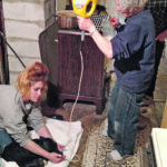 Andrea Daine holds a calf and tube in place while Lynn Thomas watches as Heather Smith Thomas holds the funnel and prepares to pour in more colostrum. Calves that are unable to suckle benefit most from quick provision of colostrum. | Heather Smith Thomas photo