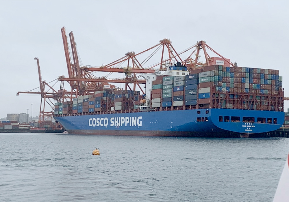 President Greg Cherewyk said Pulse Canada has been calling for a national dialogue on shipping issues since the fall of 2019, and welcomed the announcement afterward that a national task force would be formed. | File photo