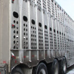Bibeau issued a statement Feb. 14 after meeting with representatives from the meat industry to discuss the situation. She said the blockades have affected the safe movement of live animals, feed and goods and are negatively affecting the food supply chain. | File photo