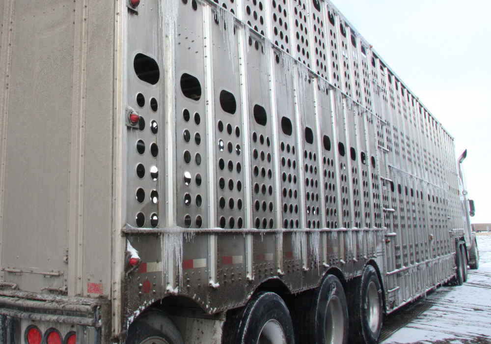 Bibeau issued a statement Feb. 14 after meeting with representatives from the meat industry to discuss the situation. She said the blockades have affected the safe movement of live animals, feed and goods and are negatively affecting the food supply chain. | File photo