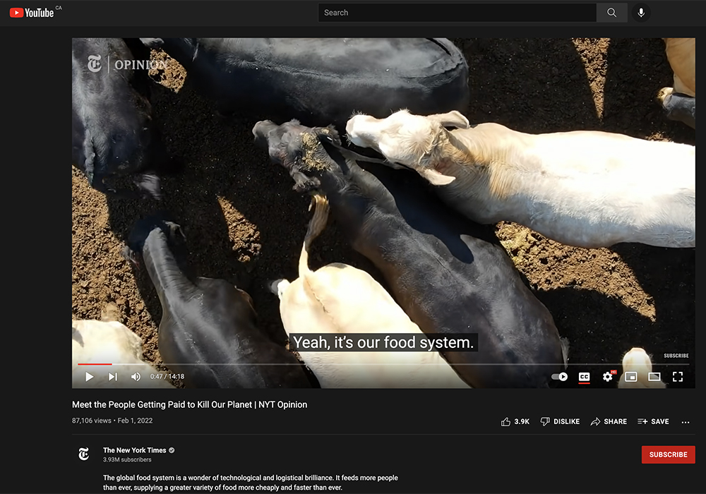 The Times describes the video editorial as an “innovative video journalism commentary.” It’s not; it’s a sloppy slice of half-truths and loose connections presented in a casual, “Yo, bro!” style that generates more derision than discussion. | Screencap via Youtube/The New York Times