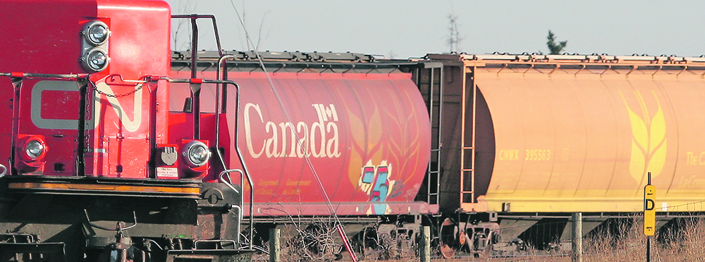 Not every rail car is in use at any given moment. Cars are stored on sidings between peak shipping periods and are sidelined for repairs and eventually for recycling.  |  File photo