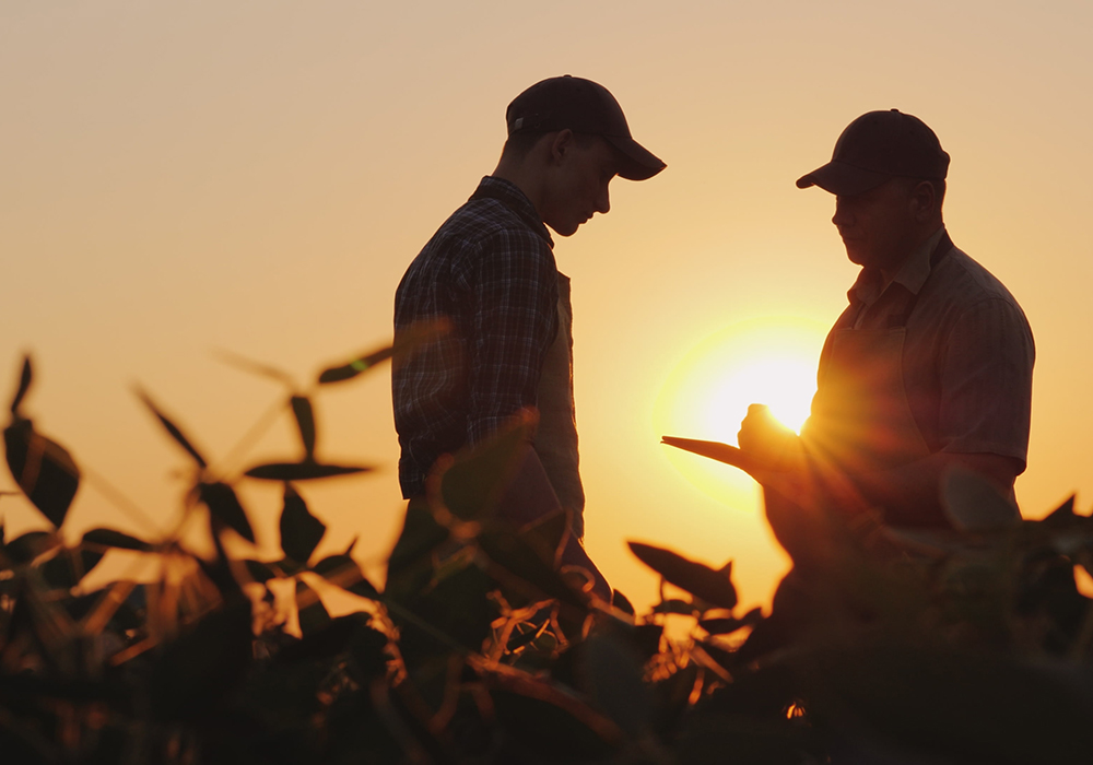 Not knowing where to start or what to do first is one of the most common obstacles farm families encounter. The simplest way to get started is to call a meeting. | Getty Images
