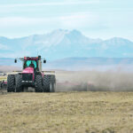 A lack of snow as of early February has added to the ongoing fallout from last summer’s extreme heat waves and drought, said Lynn Jacobson, president of the Alberta Federation of Agriculture.
| Mike Sturk photo