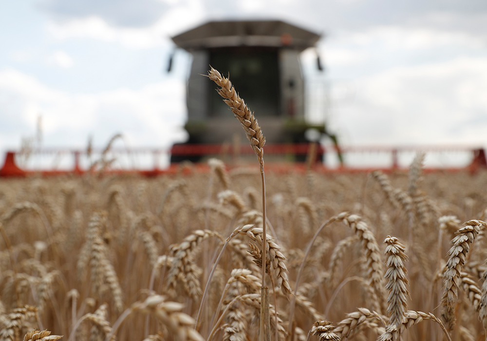 Bill Liefert, a private consultant retired from the U.S. Department of Agriculture’s Economic Research Service, said the length of the Ukraine war will have major impacts on the seeding of the spring crop, the harvesting of the winter crop and the export of all crops produced in the war-torn region.  | Reuters/Valentyn Ogirenko photo