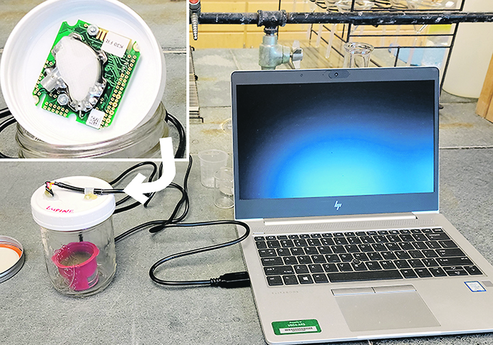 Measuring CO2 flush is possible with only one day of incubation following rewetting of dry soil in a glass jar. The flush is absorbed by an infrared analyzer attached to the inside cover of the jar (inset, upper left) and read on a laptop computer. | Upendra Sainju photo