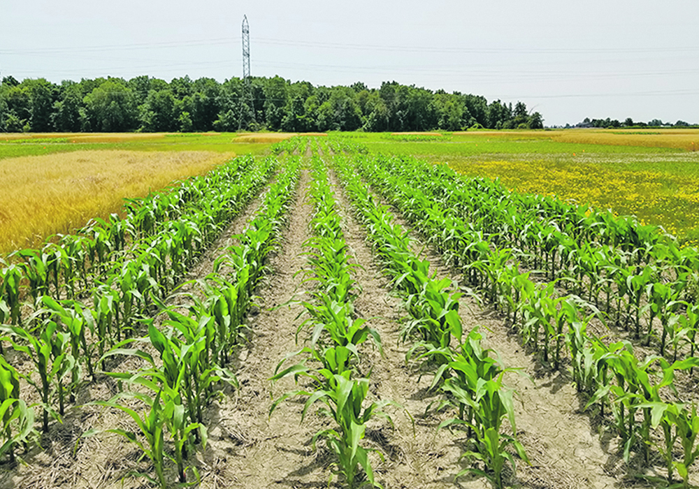 Soil health sounds good, but what is it? The Western Producer