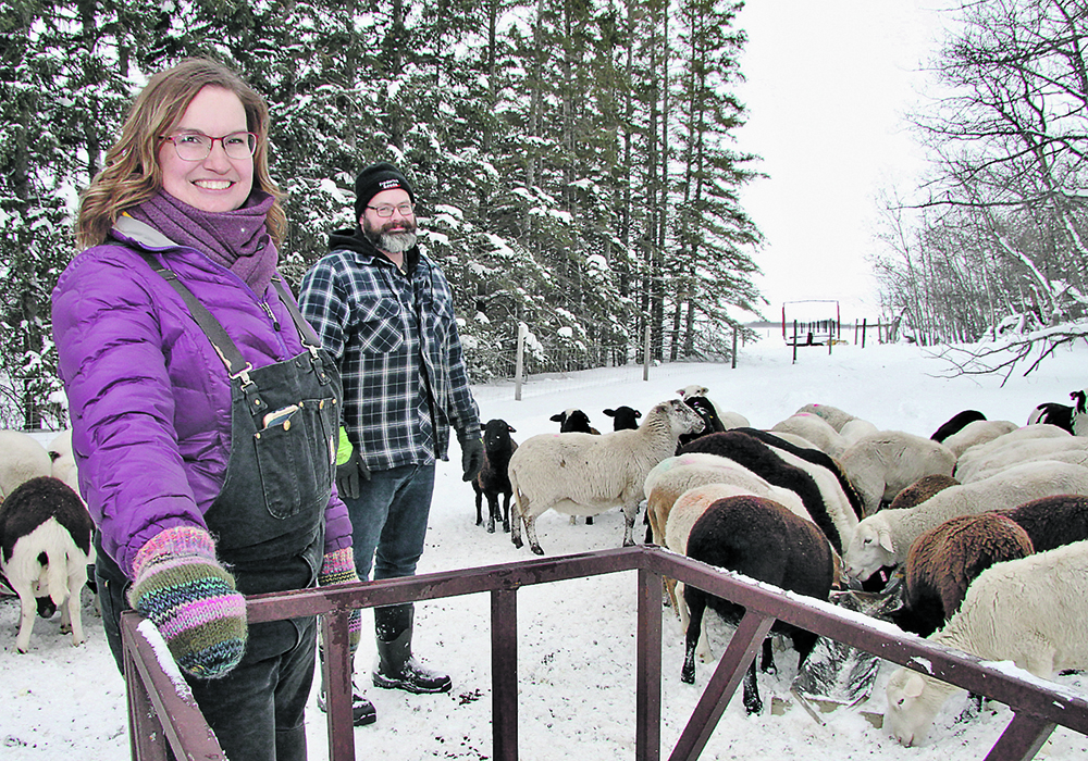 Charlotte and Dale Schwanke operate Red Barn Family Farm near Wadena, Sask., where they raise sheep and other livestock. They produce lamb sausages, lamb chops and an assortment of other lamb products. | Robert Arnason photo