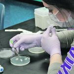 KC Macdonald, a Grade 11 student at Gilbert Plains Collegiate, adds discs treated with fungicide to a petri dish infected with sclerotinia to see what concentration of fungicide was needed to effectively kill the sclerotinia. The exercise was part of Chris Manchur’s presentation about agriculture through a microscope. | Keara Sanko photo